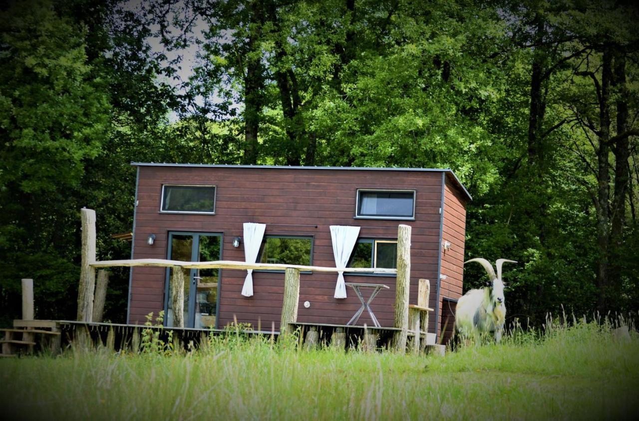 La Tiny House Terra Nostra Appartement Saint-Bazile Buitenkant foto
